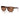 Emporio Armani Brown Acetate Sunglasses