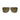 Lacoste Brown Acetate Sunglasses