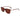 Lacoste Brown Acetate Sunglasses