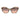 Marciano by Guess Army Acetate Sunglasses
