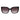 Marciano by Guess Brown Plastic Sunglasses