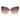 Marciano by Guess Bicolor Acetate Sunglasses