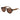 Gant Brown Plastic Sunglasses