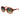Guess Brown Plastic Sunglasses