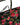 Dolce & Gabbana Black Floral Print Nylon Beachwear Bikini Bottom