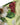 Dolce & Gabbana Yellow Floral Print Nylon Beachwear Bikini Bottom