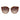 Guess Brown Plastic Sunglasses