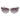 Carrera Gray Acetate Sunglasses