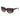 Carrera Black Acetate Sunglasses