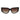 Carrera Black Acetate Sunglasses