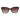Guess Brown Acetate Sunglasses