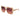 Marciano by Guess Beige Acetate Sunglasses