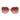 Marciano by Guess Beige Acetate Sunglasses