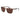 Gant Brown Metal Sunglasses