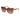 Marciano by Guess Multicolor Acetate Sunglasses