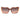 Marciano by Guess Multicolor Acetate Sunglasses