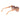 Marciano by Guess Multicolor Acetate Sunglasses