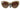 Dolce & Gabbana Beige Acetate Full Rim Brown Lense DG4294 Sunglasses