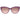 Gant Purple Plastic Sunglasses