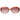 Ted Baker Multicolor Acetate Sunglasses
