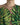 Dolce & Gabbana Green Banana Leaf Sleeveless Long Maxi Dress