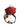 Dolce & Gabbana Multicolor Rose Silk Crystal Netted Logo Headband Diadem
