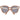 Guess Brown Metal & Plastic Sunglasses