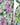 Dolce & Gabbana Multicolor Floral Silk Stretch Wrap Dress