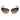 Marciano by Guess Brown Acetate Sunglasses
