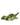 Dolce & Gabbana Green Animal Print Ankle Wrap Sandals Shoes