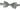 Dolce & Gabbana Light Gray Lining Adjustable Neck Butterfly Bow Tie