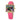 Bobroff Multicolor Leather Watch