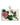 Dolce & Gabbana White Rose Floral Faux Pearl Microbag Crossbody Bag