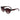 Lacoste Brown Injected Sunglasses