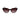 Lacoste Brown Injected Sunglasses