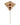 Dolce & Gabbana Gold Tone Red Crystal Embellish 925 Sterling Silver Pin