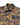 Dolce & Gabbana Brown Leopard Cotton Collared Coat Jacket