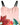 Dolce & Gabbana Pink Floral Print Spaghetti Strap Mini Dress
