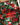 Dolce & Gabbana Multicolor Floral Print Cropped Pants
