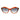 Marciano by Guess Copper Acetate Sunglasses