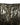 Dolce & Gabbana Gold Sequin Polyester Embellished Bermuda Shorts