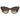 Moschino Brown Acetate Sunglasses