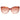 Jimmy Choo Brown Plastic Sunglasses