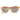 Sting Brown Acetate & Plastic Glasses (Frames)