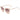 Guess Multicolor Plastic Sunglasses