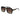 Carrera Black Plastic Sunglasses