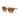 Michael Kors Brown Acetate Sunglasses