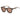 Michael Kors Gold Acetate Sunglasses