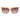 Marciano by Guess Orange Acetate Sunglasses