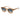 Lozza Beige Plastic Sunglasses
